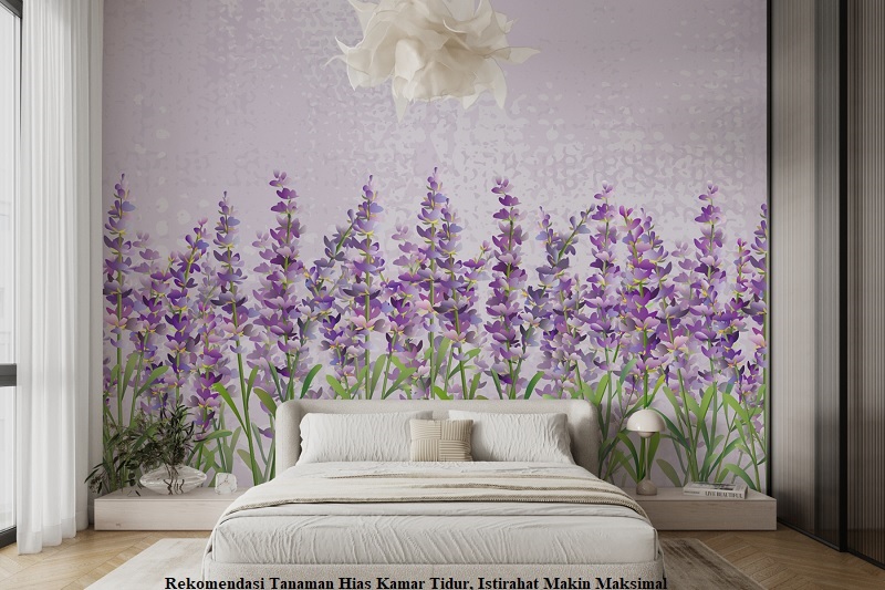 Rekomendasi Tanaman Hias Kamar Tidur, Istirahat Makin Maksimal